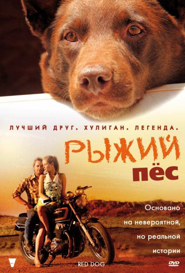 Фильм Рыжий пес 2011 смотреть онлайн с Лоэн Кармен и другими актёрами